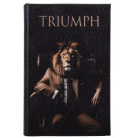 Книга сейф Тріумф (0508-012) із замком